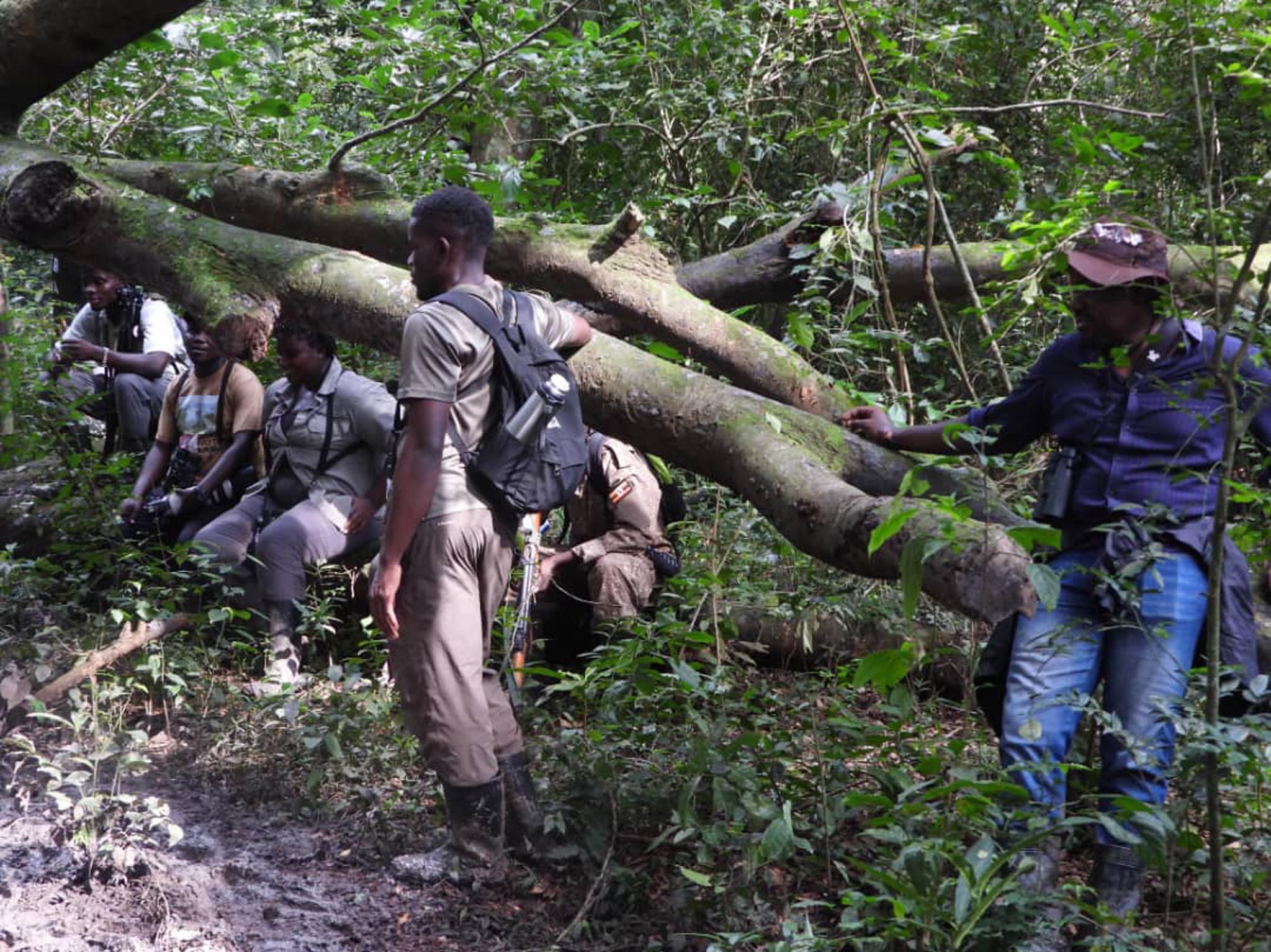 Kibale Forest